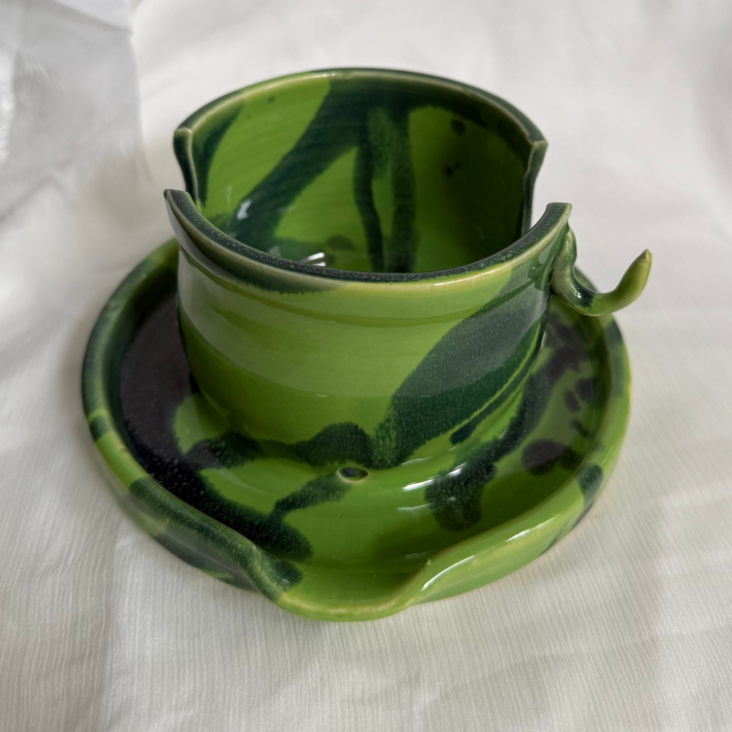 fiona's spongeholder